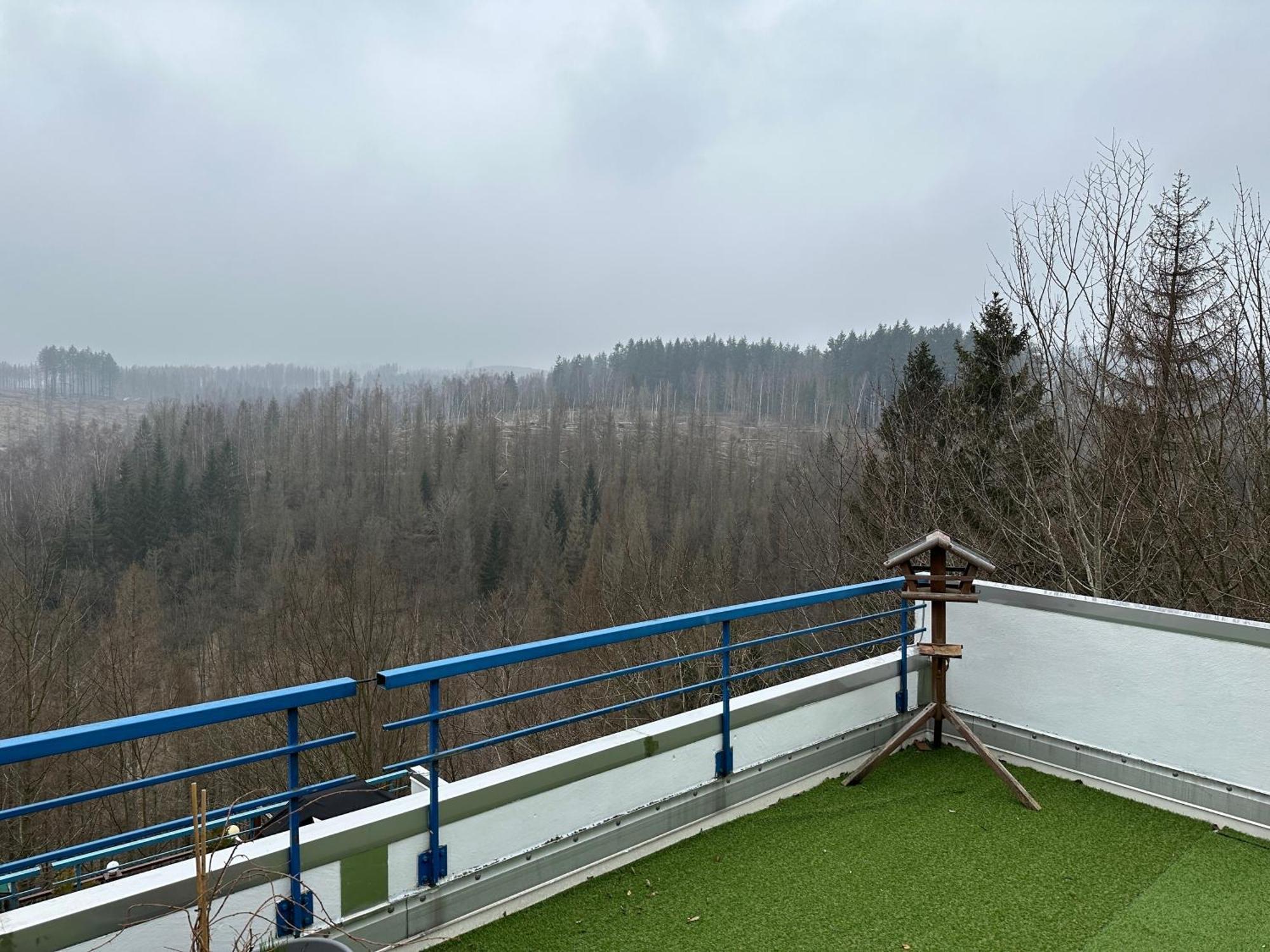 Ferienwohnung Harz #4, Pool, Sauna, Wlan Braunlage Exterior foto